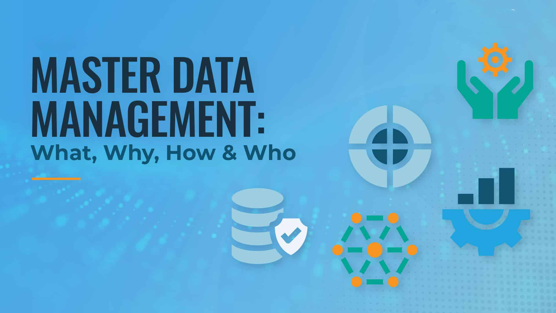 IBM Master Data Management